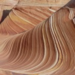 Swirling Patterns of the Wave