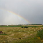 Rainbow @ Harvest
