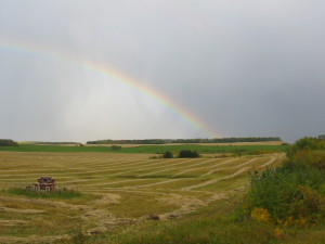 Rainbow @ Harvest