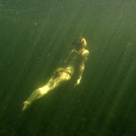 Surfacing