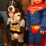 batdog and supercal...err...to the...mmm...rescue?