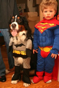 batdog and supercal...err...to the...mmm...rescue?