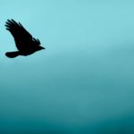 Aloft