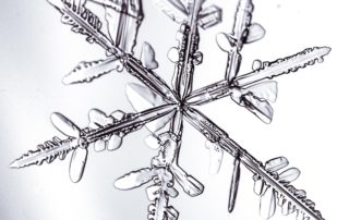 Snowflake