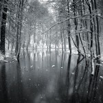 'Ice'd Reflection'