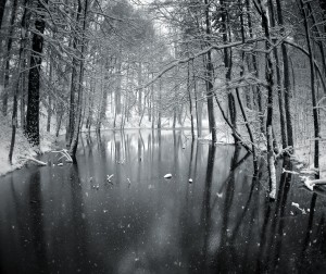 'Ice'd Reflection'