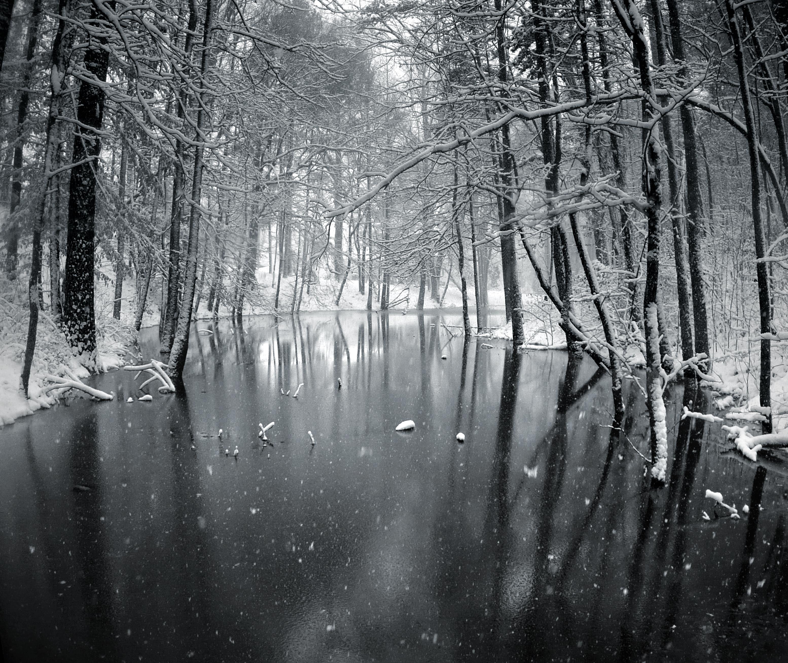 'Ice'd Reflection'