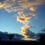 Whispering Dusk