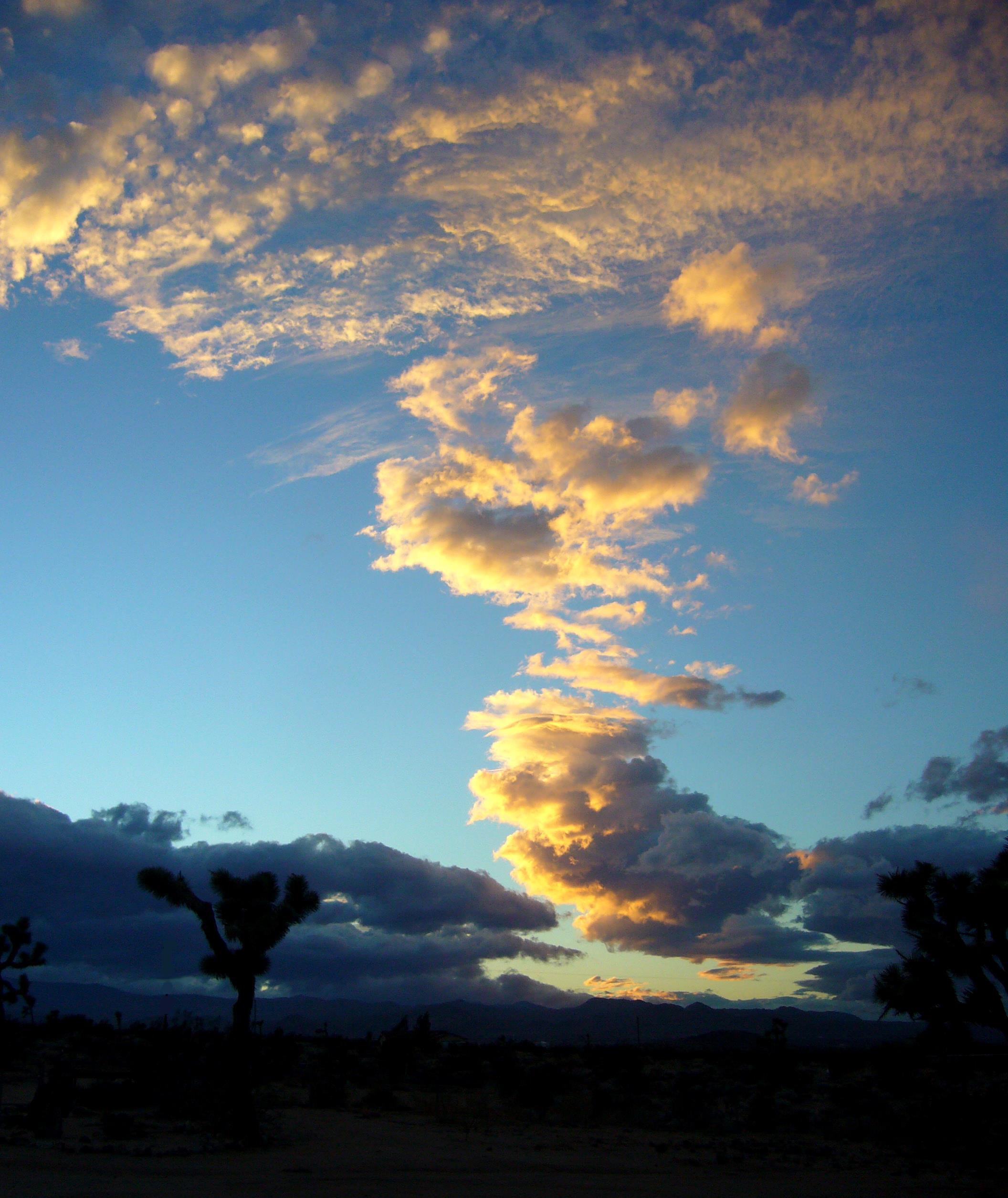 Whispering Dusk