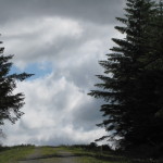 "Upon this path I walk"