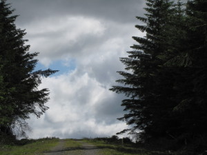 "Upon this path I walk"
