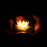 Welcome New Light