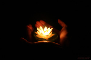 Welcome New Light