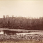 Swan River (1887)