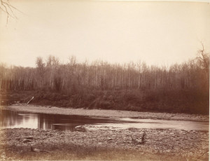 Swan River (1887)