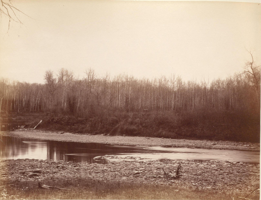 Swan River (1887)