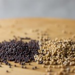 Mustard Seeds