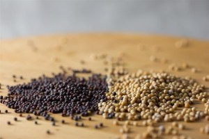 Mustard Seeds