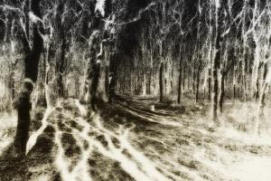 Shadowland