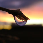 Rain Drop