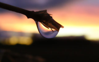 Rain Drop