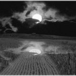 Harvest Moon