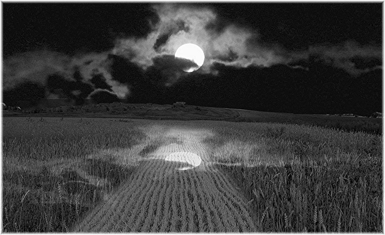 Harvest Moon