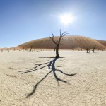 Namibie - Dead Vlei
