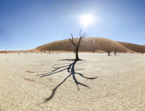 Namibie - Dead Vlei