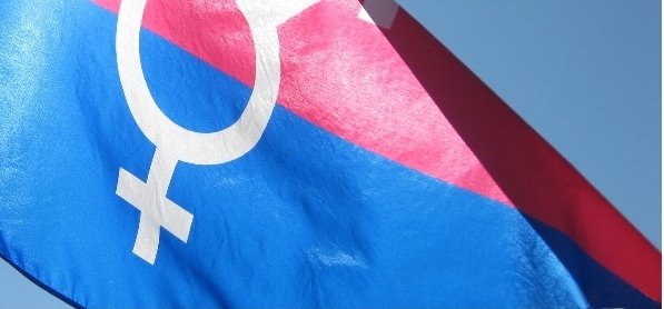 Trans Flag