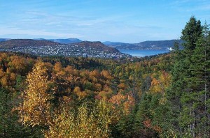 Corner Brook