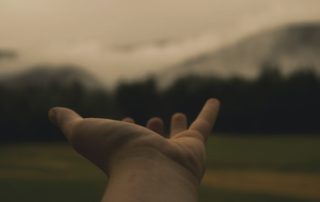 Wholeness Nurture