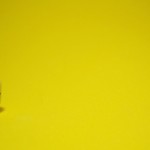 Follow the Yellow Mint Road