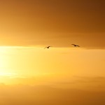 Easter's Dawn