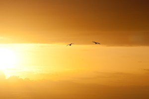 Easter's Dawn