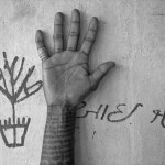 Faith & Permanence
