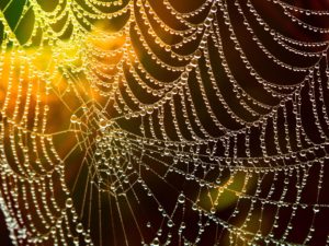 Interconnected