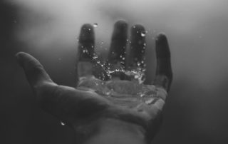 Wisdom's Awakening