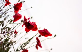 #:LestWeForget