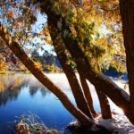 Seasons