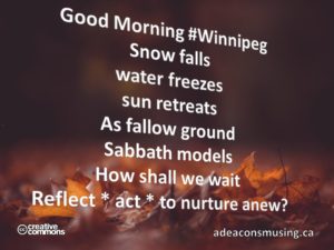 Nurture Anew