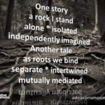 Mutually Mediated
