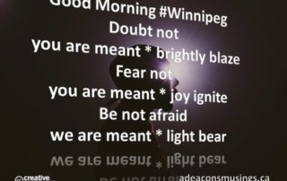 Light Bear