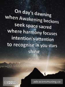 Stars Shine