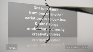 Creativity Thrives