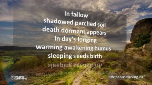 Seeds Birth