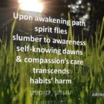 Awakening Path