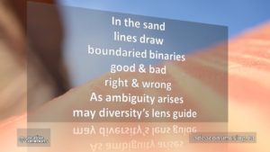 Diversity's Lens