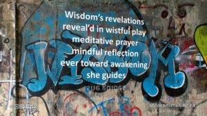 Wisdom's Revelation