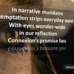 Connexion's Promise